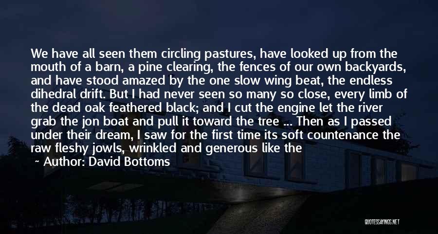 David Bottoms Quotes: We Have All Seen Them Circling Pastures, Have Looked Up From The Mouth Of A Barn, A Pine Clearing, The