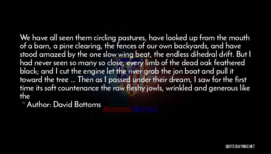 David Bottoms Quotes: We Have All Seen Them Circling Pastures, Have Looked Up From The Mouth Of A Barn, A Pine Clearing, The