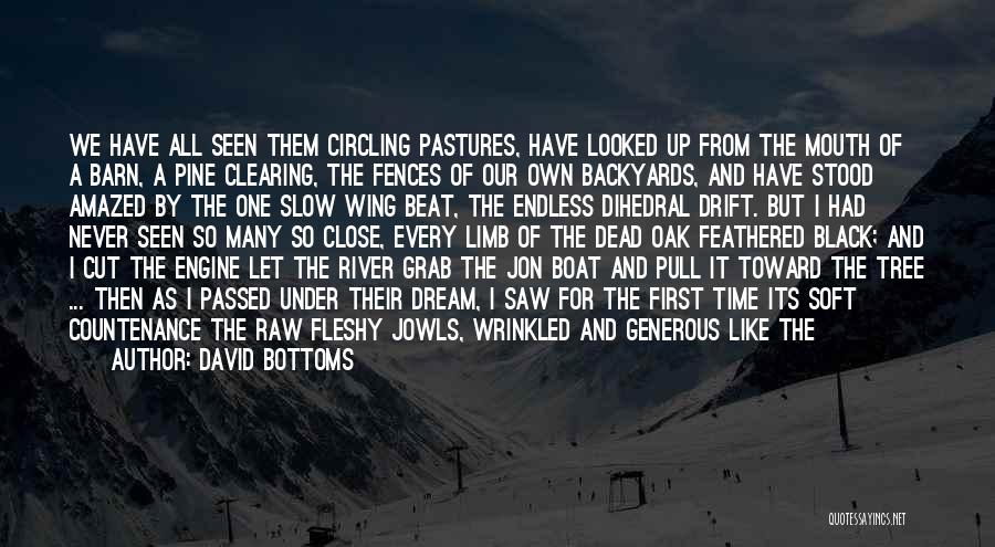 David Bottoms Quotes: We Have All Seen Them Circling Pastures, Have Looked Up From The Mouth Of A Barn, A Pine Clearing, The