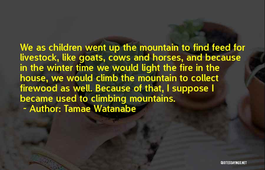 Tamae Watanabe Quotes: We As Children Went Up The Mountain To Find Feed For Livestock, Like Goats, Cows And Horses, And Because In