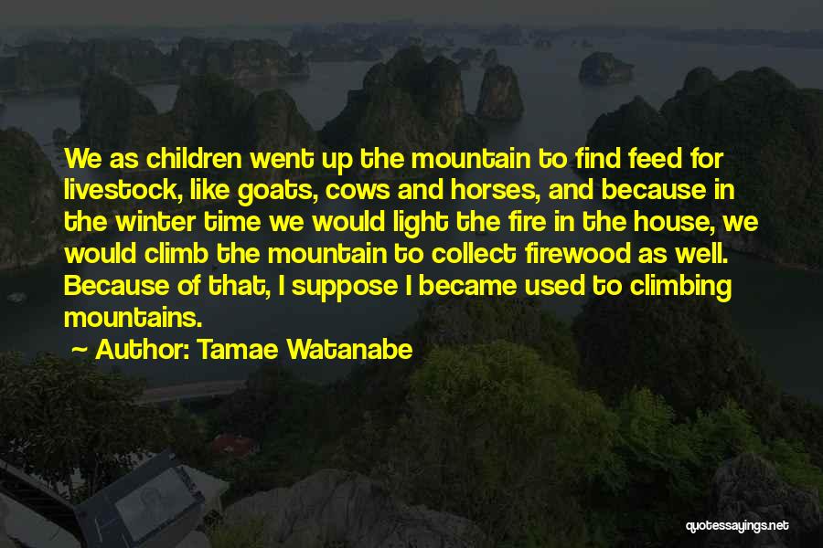 Tamae Watanabe Quotes: We As Children Went Up The Mountain To Find Feed For Livestock, Like Goats, Cows And Horses, And Because In