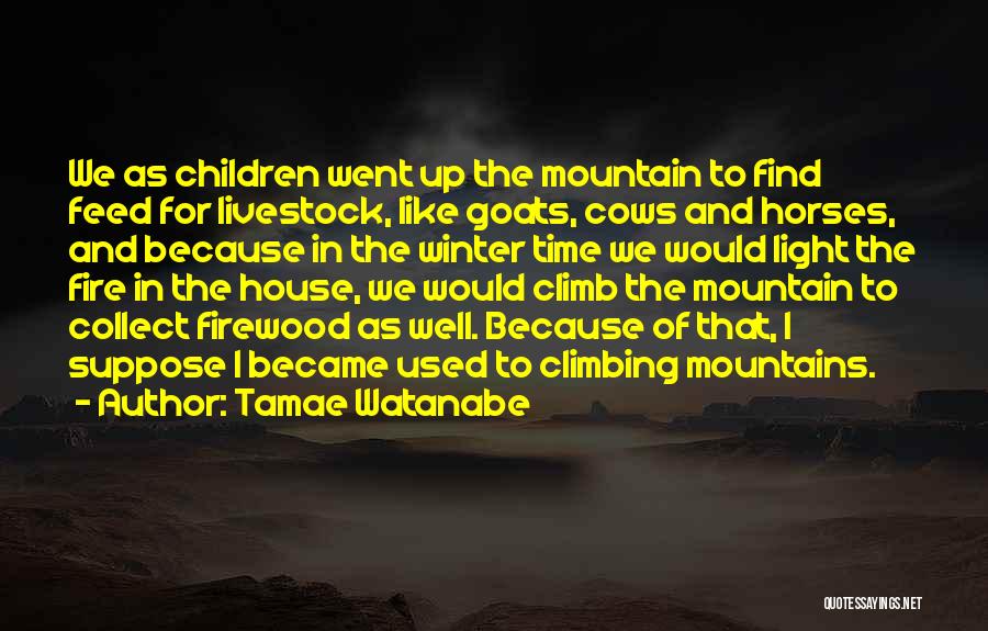 Tamae Watanabe Quotes: We As Children Went Up The Mountain To Find Feed For Livestock, Like Goats, Cows And Horses, And Because In