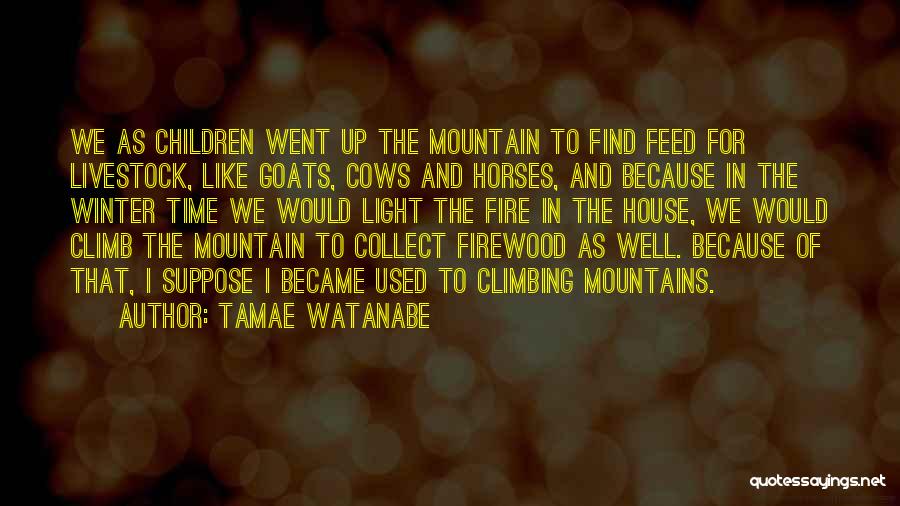 Tamae Watanabe Quotes: We As Children Went Up The Mountain To Find Feed For Livestock, Like Goats, Cows And Horses, And Because In