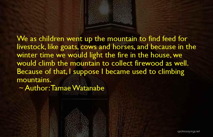 Tamae Watanabe Quotes: We As Children Went Up The Mountain To Find Feed For Livestock, Like Goats, Cows And Horses, And Because In