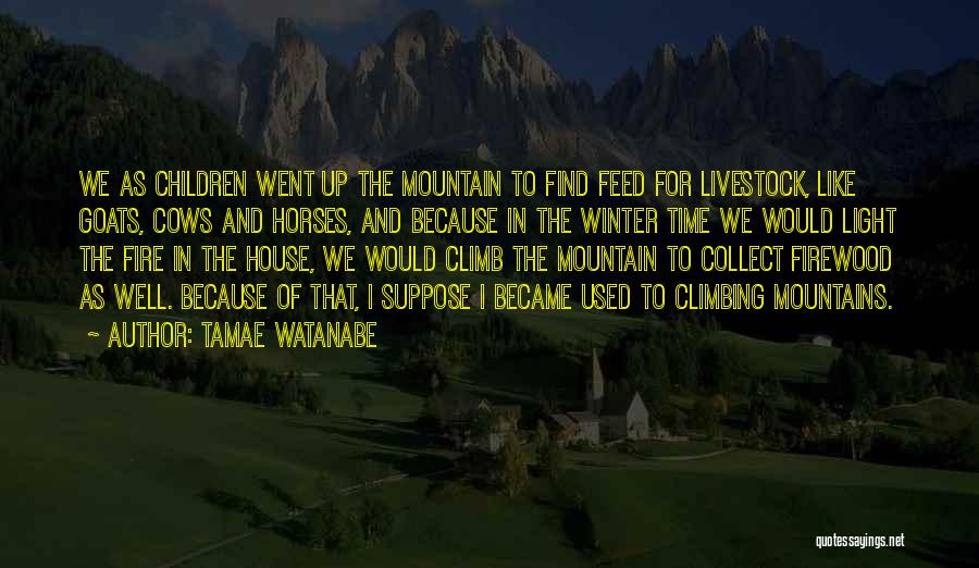 Tamae Watanabe Quotes: We As Children Went Up The Mountain To Find Feed For Livestock, Like Goats, Cows And Horses, And Because In