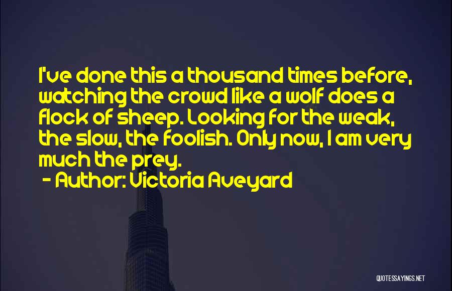 Victoria Aveyard Quotes: I've Done This A Thousand Times Before, Watching The Crowd Like A Wolf Does A Flock Of Sheep. Looking For