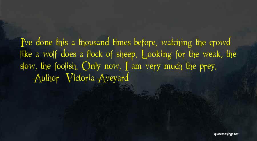 Victoria Aveyard Quotes: I've Done This A Thousand Times Before, Watching The Crowd Like A Wolf Does A Flock Of Sheep. Looking For