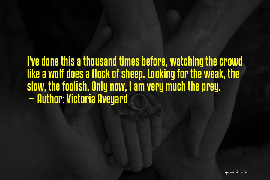 Victoria Aveyard Quotes: I've Done This A Thousand Times Before, Watching The Crowd Like A Wolf Does A Flock Of Sheep. Looking For