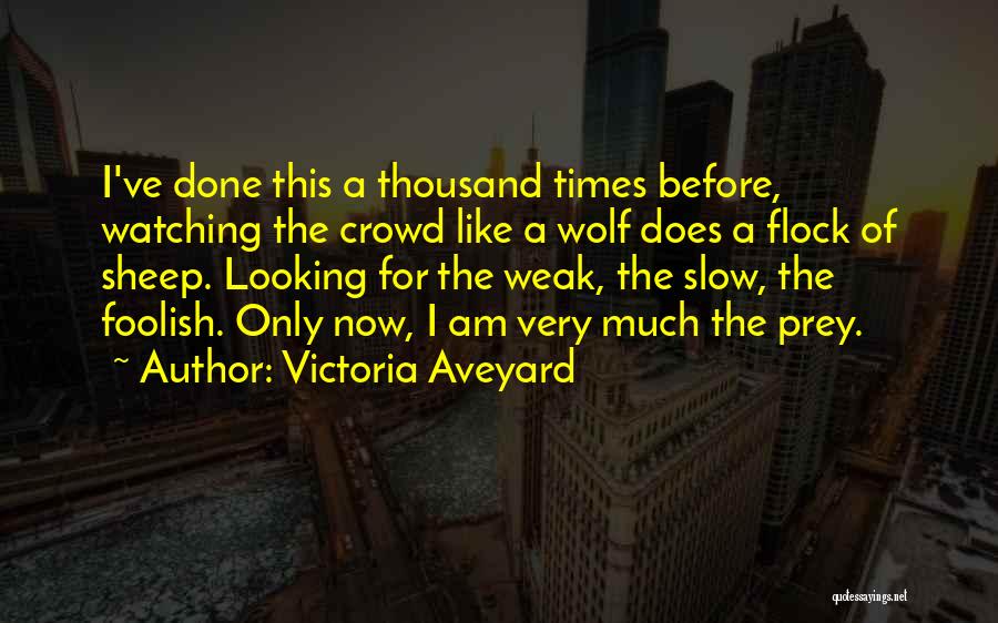 Victoria Aveyard Quotes: I've Done This A Thousand Times Before, Watching The Crowd Like A Wolf Does A Flock Of Sheep. Looking For