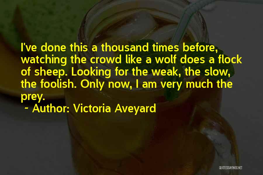 Victoria Aveyard Quotes: I've Done This A Thousand Times Before, Watching The Crowd Like A Wolf Does A Flock Of Sheep. Looking For
