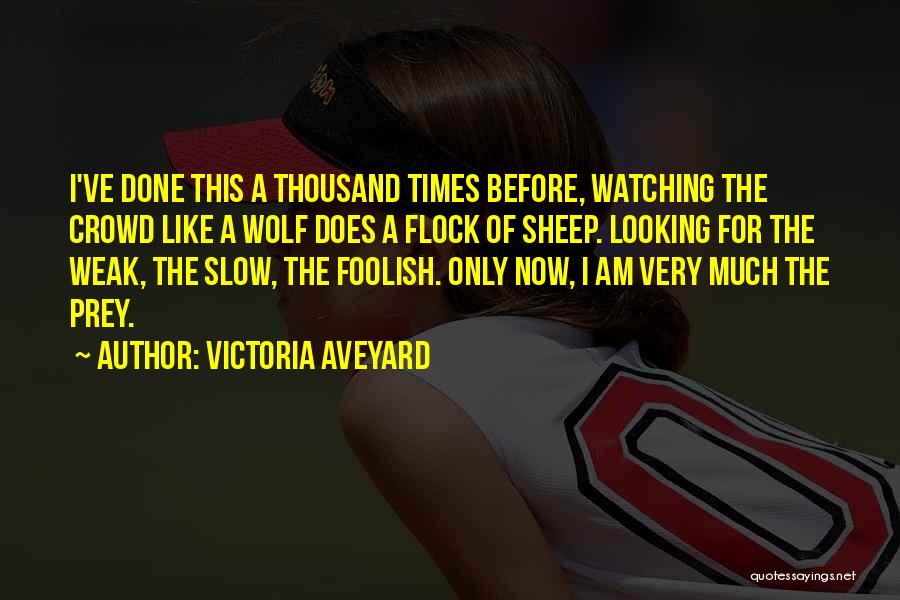 Victoria Aveyard Quotes: I've Done This A Thousand Times Before, Watching The Crowd Like A Wolf Does A Flock Of Sheep. Looking For