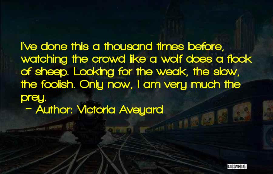 Victoria Aveyard Quotes: I've Done This A Thousand Times Before, Watching The Crowd Like A Wolf Does A Flock Of Sheep. Looking For