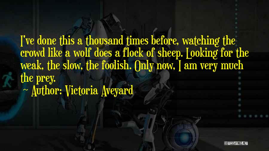 Victoria Aveyard Quotes: I've Done This A Thousand Times Before, Watching The Crowd Like A Wolf Does A Flock Of Sheep. Looking For