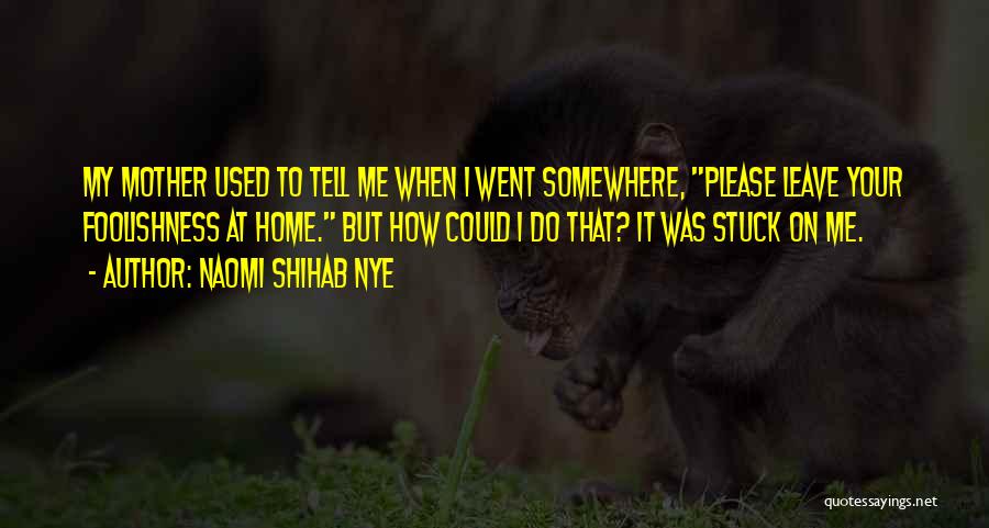 Naomi Shihab Nye Quotes: My Mother Used To Tell Me When I Went Somewhere, Please Leave Your Foolishness At Home. But How Could I