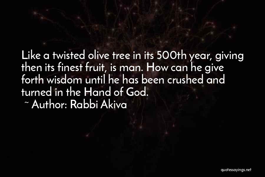 Rabbi Akiva Quotes: Like A Twisted Olive Tree In Its 500th Year, Giving Then Its Finest Fruit, Is Man. How Can He Give