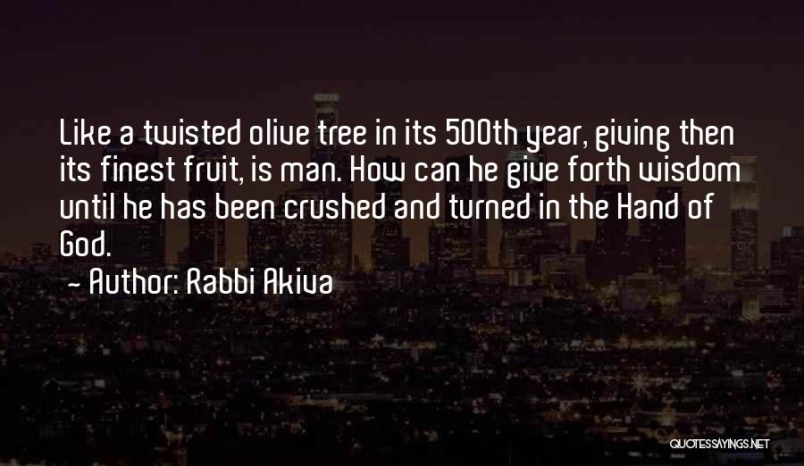 Rabbi Akiva Quotes: Like A Twisted Olive Tree In Its 500th Year, Giving Then Its Finest Fruit, Is Man. How Can He Give