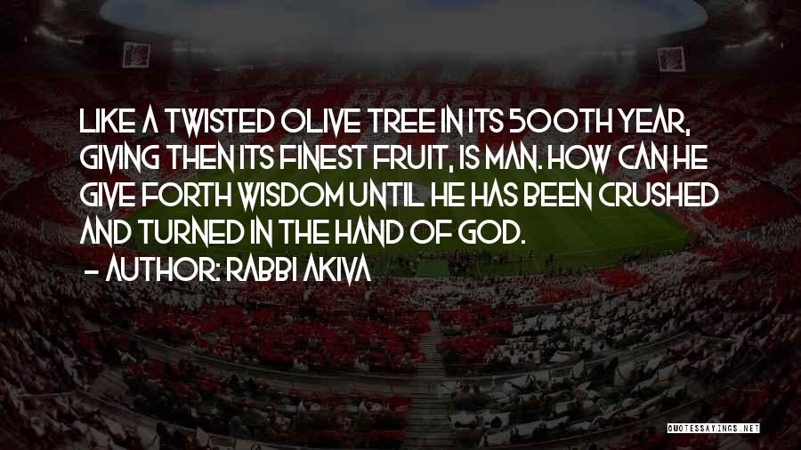 Rabbi Akiva Quotes: Like A Twisted Olive Tree In Its 500th Year, Giving Then Its Finest Fruit, Is Man. How Can He Give