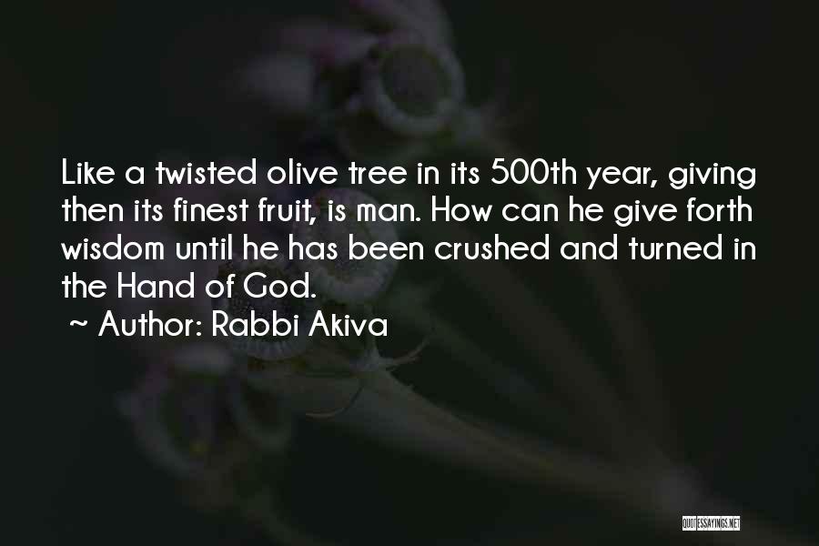 Rabbi Akiva Quotes: Like A Twisted Olive Tree In Its 500th Year, Giving Then Its Finest Fruit, Is Man. How Can He Give