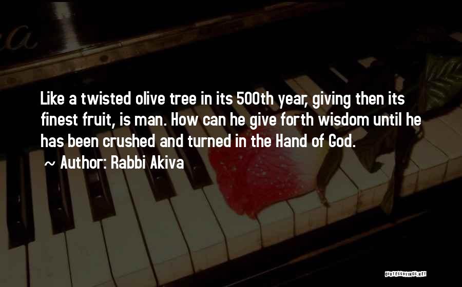 Rabbi Akiva Quotes: Like A Twisted Olive Tree In Its 500th Year, Giving Then Its Finest Fruit, Is Man. How Can He Give