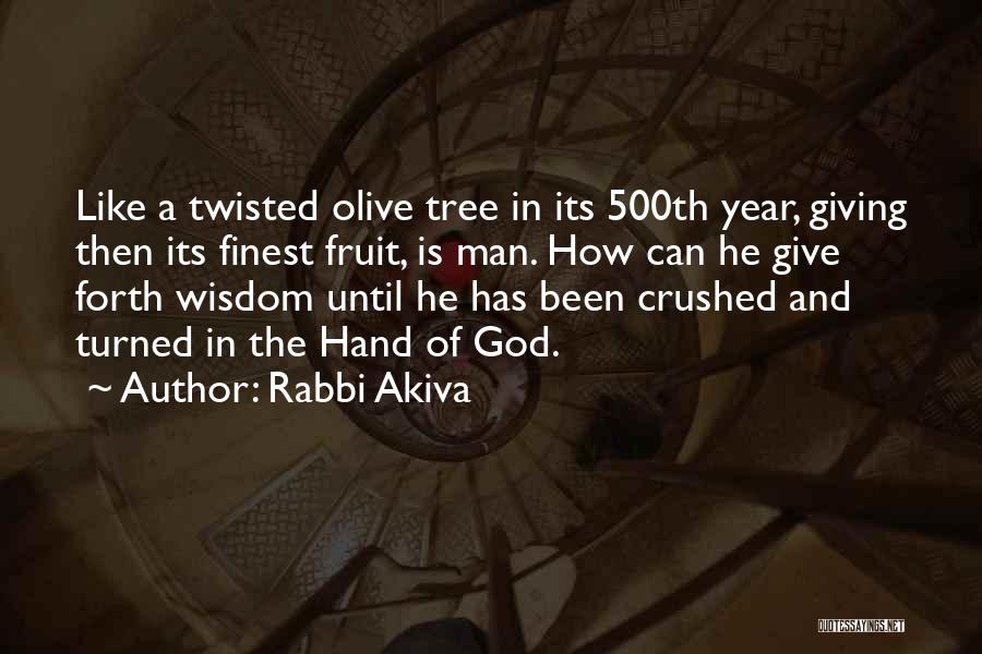 Rabbi Akiva Quotes: Like A Twisted Olive Tree In Its 500th Year, Giving Then Its Finest Fruit, Is Man. How Can He Give