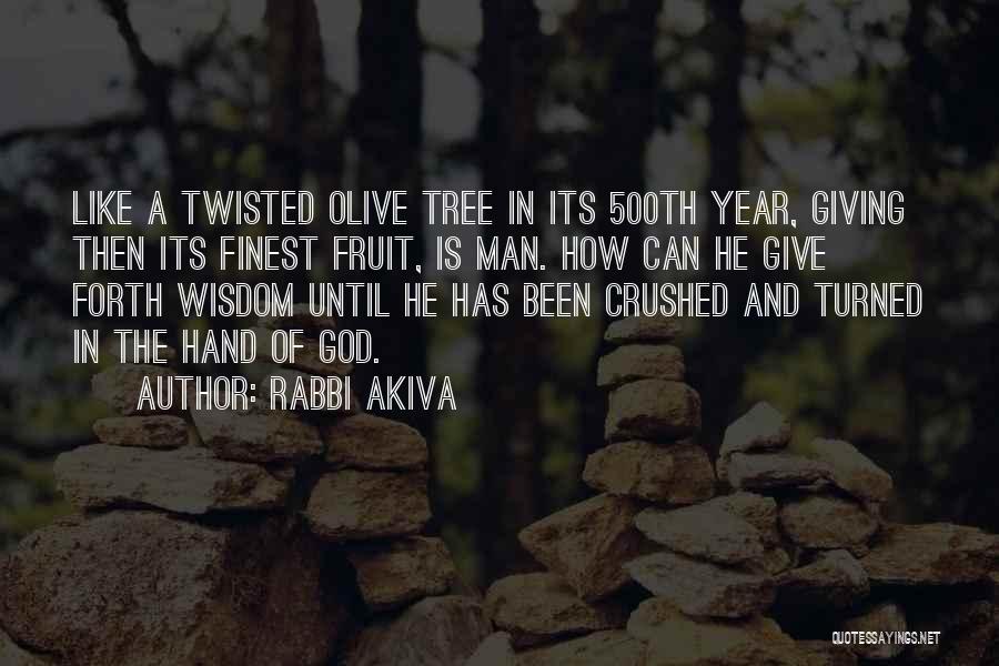 Rabbi Akiva Quotes: Like A Twisted Olive Tree In Its 500th Year, Giving Then Its Finest Fruit, Is Man. How Can He Give