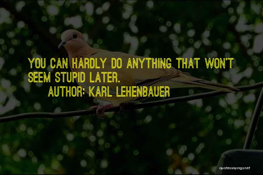 Karl Lehenbauer Quotes: You Can Hardly Do Anything That Won't Seem Stupid Later.