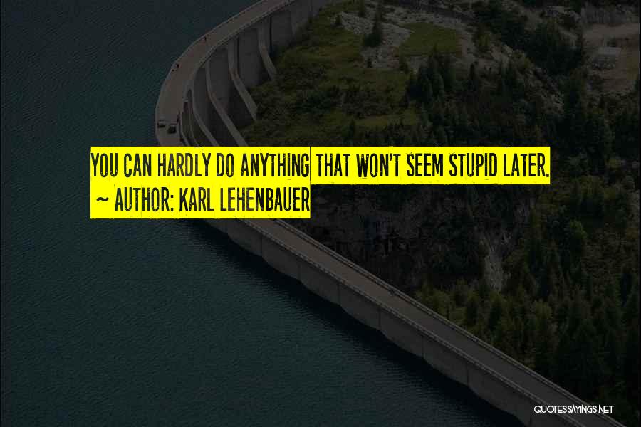 Karl Lehenbauer Quotes: You Can Hardly Do Anything That Won't Seem Stupid Later.