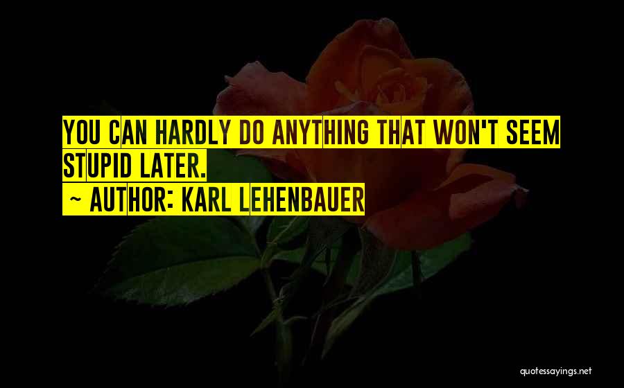 Karl Lehenbauer Quotes: You Can Hardly Do Anything That Won't Seem Stupid Later.
