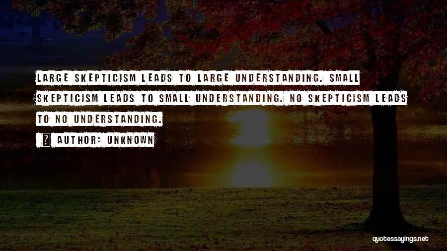 Unknown Quotes: Large Skepticism Leads To Large Understanding. Small Skepticism Leads To Small Understanding. No Skepticism Leads To No Understanding.