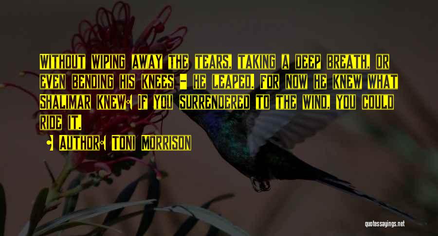 Toni Morrison Quotes: Without Wiping Away The Tears, Taking A Deep Breath, Or Even Bending His Knees - He Leaped. For Now He