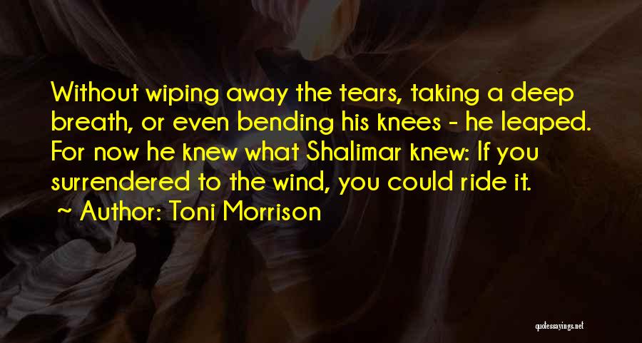 Toni Morrison Quotes: Without Wiping Away The Tears, Taking A Deep Breath, Or Even Bending His Knees - He Leaped. For Now He