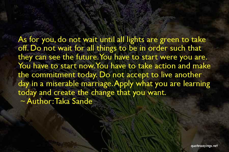 Taka Sande Quotes: As For You, Do Not Wait Until All Lights Are Green To Take Off. Do Not Wait For All Things