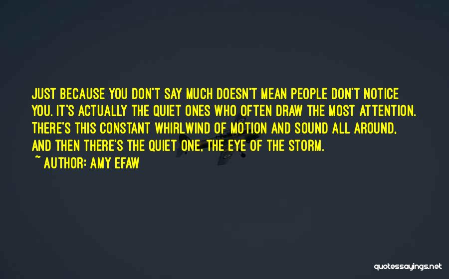 Amy Efaw Quotes: Just Because You Don't Say Much Doesn't Mean People Don't Notice You. It's Actually The Quiet Ones Who Often Draw