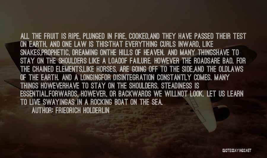 Friedrich Holderlin Quotes: All The Fruit Is Ripe, Plunged In Fire, Cooked,and They Have Passed Their Test On Earth, And One Law Is