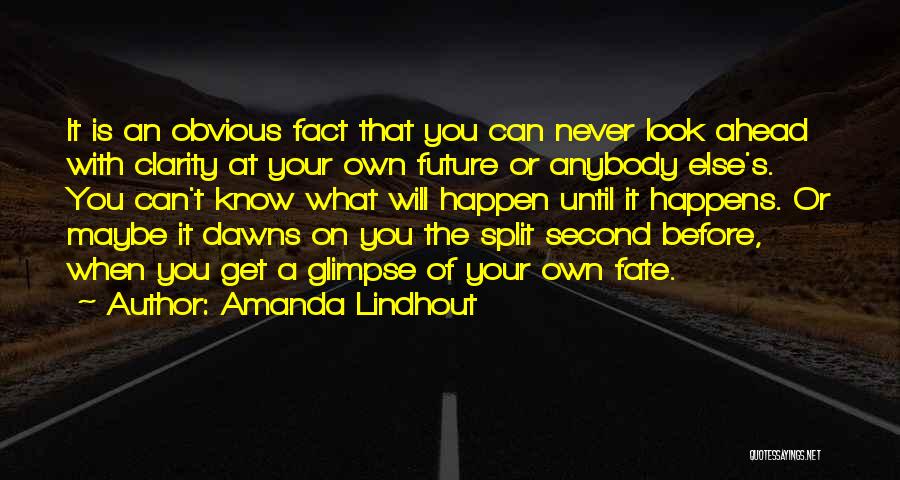 Amanda Lindhout Quotes: It Is An Obvious Fact That You Can Never Look Ahead With Clarity At Your Own Future Or Anybody Else's.