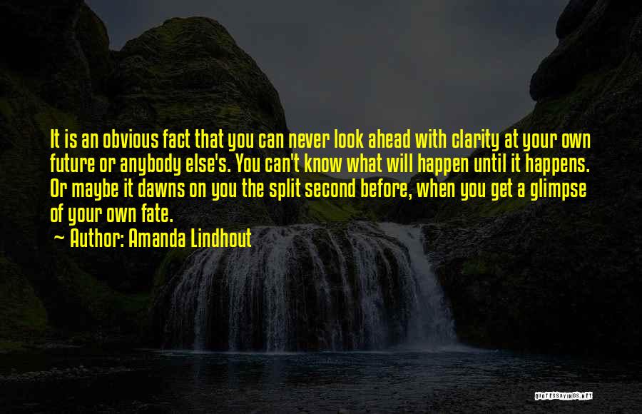 Amanda Lindhout Quotes: It Is An Obvious Fact That You Can Never Look Ahead With Clarity At Your Own Future Or Anybody Else's.