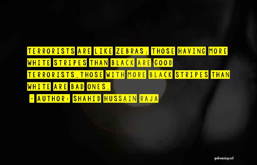 Shahid Hussain Raja Quotes: Terrorists Are Like Zebras; Those Having More White Stripes Than Black Are Good Terrorists,those With More Black Stripes Than White