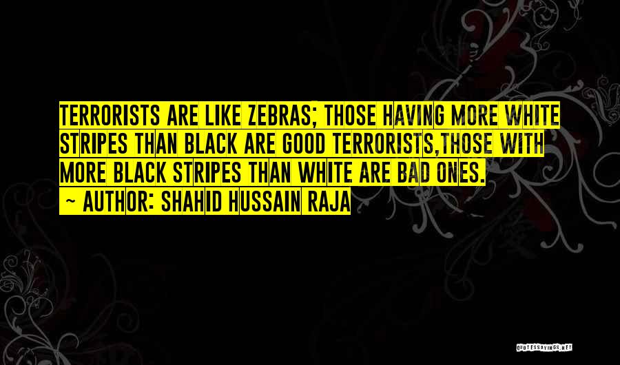 Shahid Hussain Raja Quotes: Terrorists Are Like Zebras; Those Having More White Stripes Than Black Are Good Terrorists,those With More Black Stripes Than White