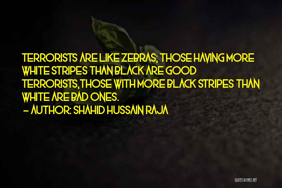 Shahid Hussain Raja Quotes: Terrorists Are Like Zebras; Those Having More White Stripes Than Black Are Good Terrorists,those With More Black Stripes Than White