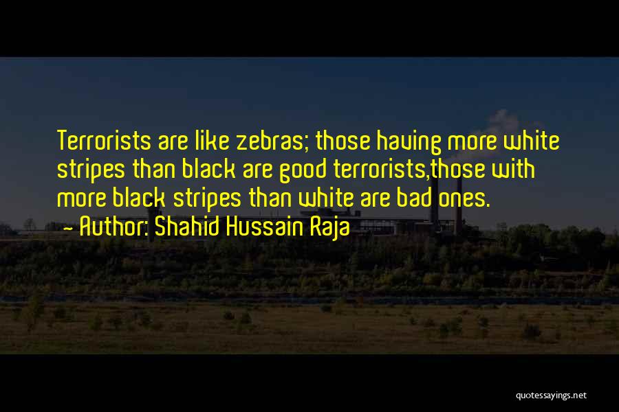 Shahid Hussain Raja Quotes: Terrorists Are Like Zebras; Those Having More White Stripes Than Black Are Good Terrorists,those With More Black Stripes Than White