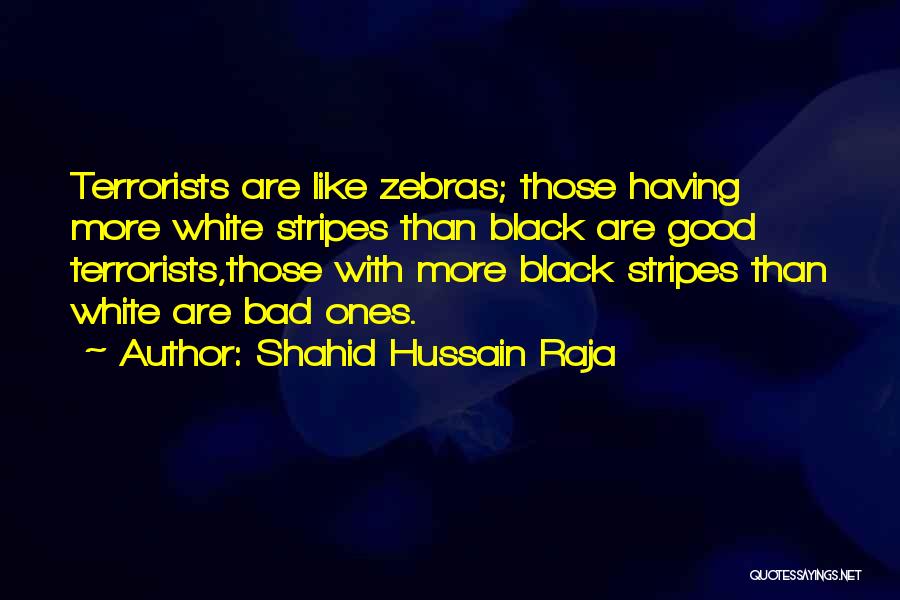 Shahid Hussain Raja Quotes: Terrorists Are Like Zebras; Those Having More White Stripes Than Black Are Good Terrorists,those With More Black Stripes Than White