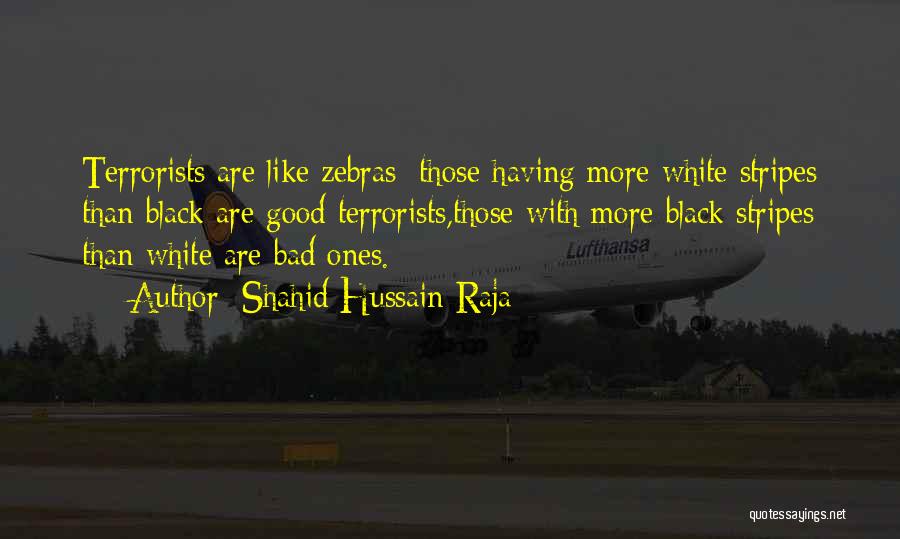 Shahid Hussain Raja Quotes: Terrorists Are Like Zebras; Those Having More White Stripes Than Black Are Good Terrorists,those With More Black Stripes Than White