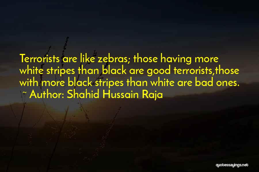 Shahid Hussain Raja Quotes: Terrorists Are Like Zebras; Those Having More White Stripes Than Black Are Good Terrorists,those With More Black Stripes Than White