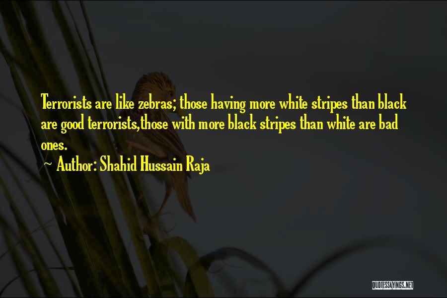 Shahid Hussain Raja Quotes: Terrorists Are Like Zebras; Those Having More White Stripes Than Black Are Good Terrorists,those With More Black Stripes Than White