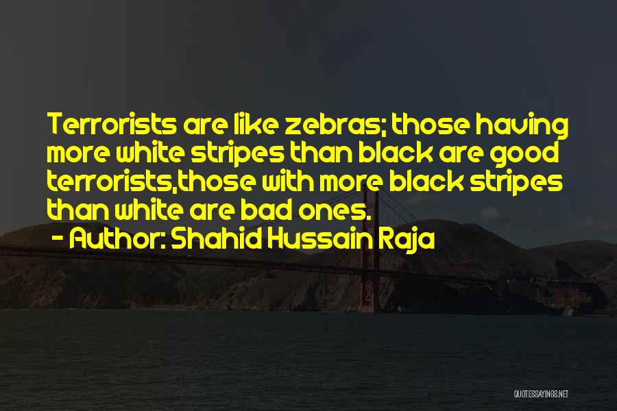 Shahid Hussain Raja Quotes: Terrorists Are Like Zebras; Those Having More White Stripes Than Black Are Good Terrorists,those With More Black Stripes Than White