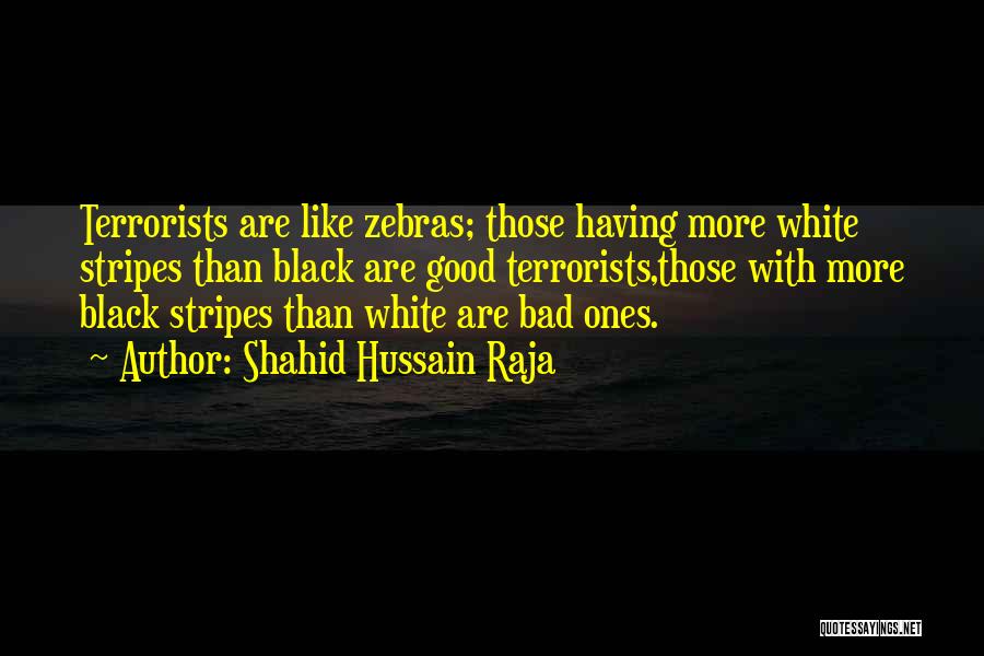 Shahid Hussain Raja Quotes: Terrorists Are Like Zebras; Those Having More White Stripes Than Black Are Good Terrorists,those With More Black Stripes Than White