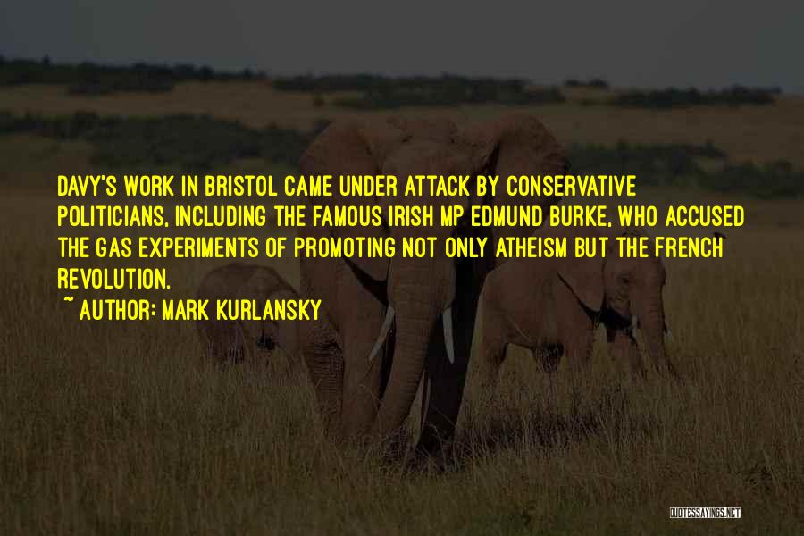 Mark Kurlansky Quotes: Davy's Work In Bristol Came Under Attack By Conservative Politicians, Including The Famous Irish Mp Edmund Burke, Who Accused The