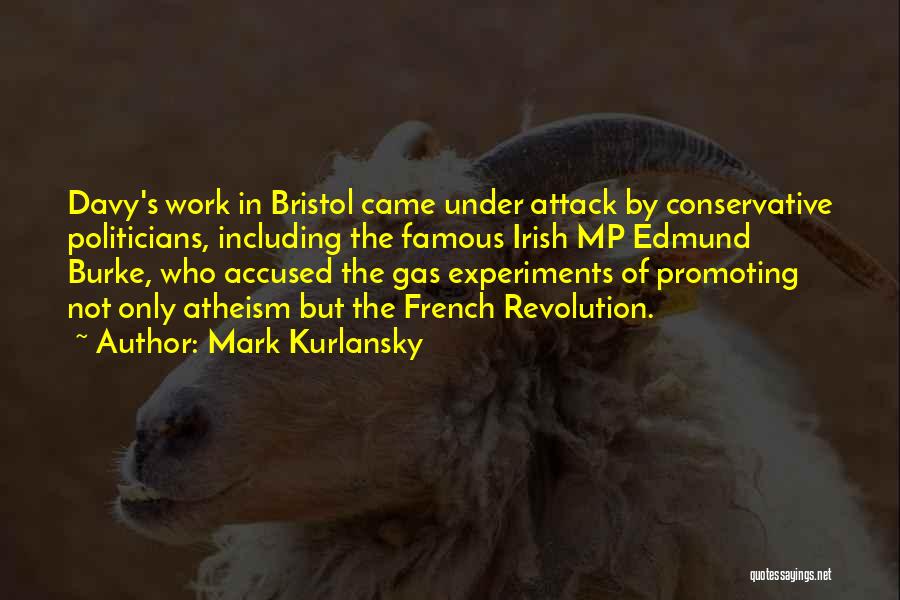 Mark Kurlansky Quotes: Davy's Work In Bristol Came Under Attack By Conservative Politicians, Including The Famous Irish Mp Edmund Burke, Who Accused The