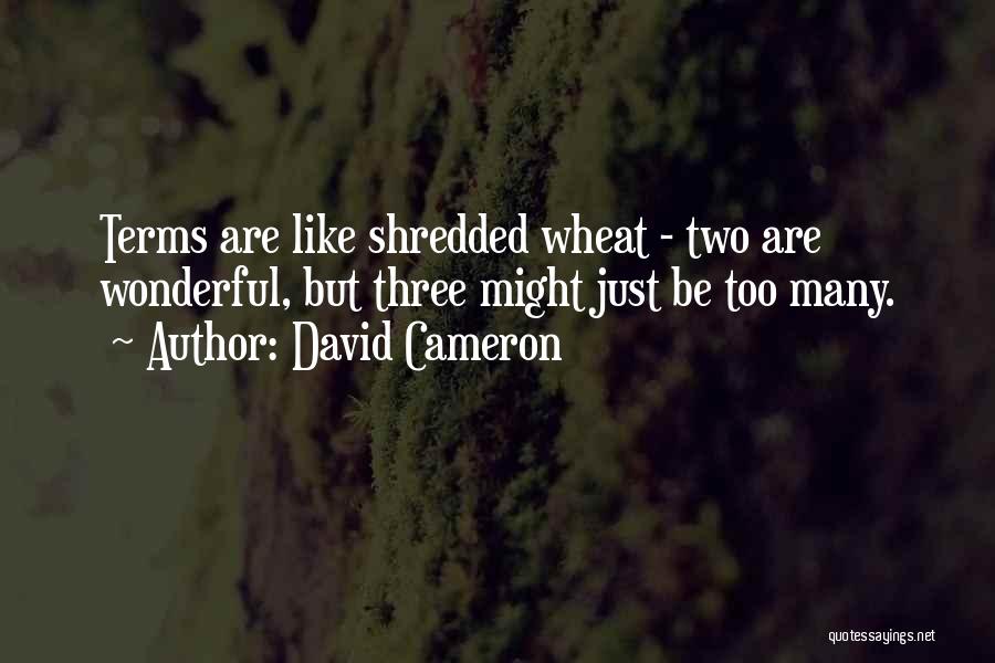 David Cameron Quotes: Terms Are Like Shredded Wheat - Two Are Wonderful, But Three Might Just Be Too Many.