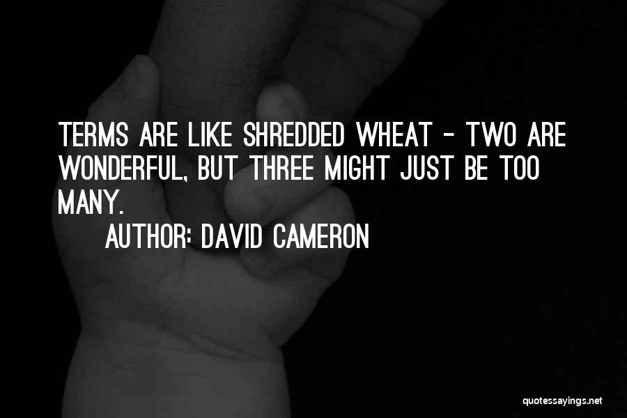 David Cameron Quotes: Terms Are Like Shredded Wheat - Two Are Wonderful, But Three Might Just Be Too Many.